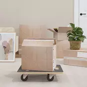 Vidaxl vidaXL Transportne ploščadi 2 kosa pravokotne 50 x 35 x 11,5 cm, 250 kg