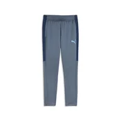 PUMA IndividualLIGA Training Pants Men, Sport, Evening Blue/Luminous Blue/Persian Blue, XS