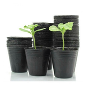 shumee Gardenline 100 lončkov za sadike 75x55x67MM JAW9447