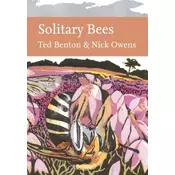 Solitary Bees