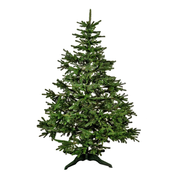 Novogodišnja jelka Viktorija 3D 220cm