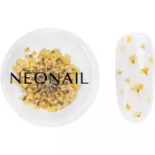 NEONAIL Dried Flowers sušen cvet za nohte odtenek 07 Yellow 1 kos