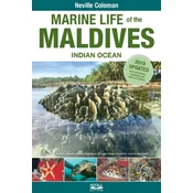 Marine Life of the Maldives - Indian Ocean