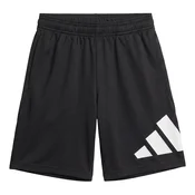 adidas  TRAIN ESSENTIALS BIG LOGO SHORTS  Črna