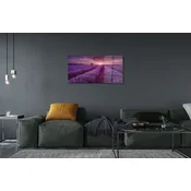 tulup.si Slika na akrilnem steklu Terenske vresovke 120x60 cm 4 obešalnika