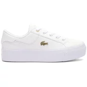 Lacoste  ZIANE  Bela