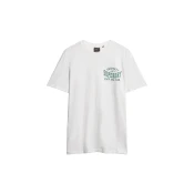 Superdry Majica jelka/bela