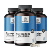 3x Glukozamin + hondroitin, skupaj 540 kapsul