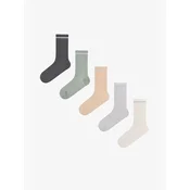 Penti Nogavice PENTI Glänzende Nature Gestreifte Baumwoll-Socken mit Glitzer, Paar bež
