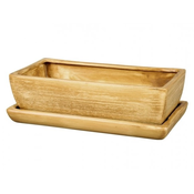 eoshop Skrinja CACTUS TIK + krožnik keramični mat 30cm