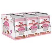 Royal Canin Kitten Instinctive Gravy vrečke hrane za mačke v soku 36 x 85 g
