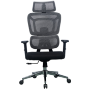 Ergovision Pisarniški stol Apollo (PO-337489)