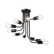 Plafonski luster TRINITY 10xE27/15W/230V, crne boje