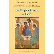 Orthodox Dogmatic Theology