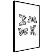Poster - Butterfly Collection III 40x60
