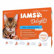 IAMS Delights Adult v omaki - Piščanec & puran (48x85 g)