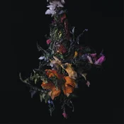 Big Brave - Nature Morte (Limited Edition) (LP)