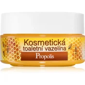 Bione Cosmetics Honey + Q10 kozmetiÄŤni vazelin 155 ml