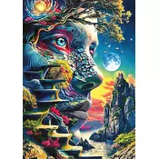 Art puzzle - Puzzle Serija WOWO: Metamorfoza - 1 000 kosov