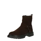 STEVE MADDEN Škornji Radios rjava