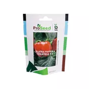 Sjeme slatka paprika Chayka F1