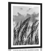 Plakat s paspartujem trava v črnobeli varianti - 20x30 silver