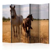 artgeist Paravan Horse And Foal I, 5-Delni, Dvostranski