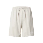 ADIDAS SPORTSWEAR Športne hlače LIN SJ svetlo siva/bela