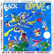 Various Artists - Back From The Grave Volume 6 (Reissue) (Remastered) (LP)