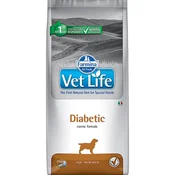 Vet Life Dog Diabetic 2 kg