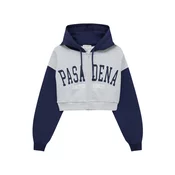 Pull&Bear Jopa na zadrgo, siva
