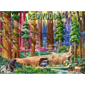 Ravensburger - Puzzle Zbirka nacionalnih parkov: Redwood - 500 kosov