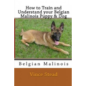 How to Train and Understand Your Belgian Malinois Puppy & Dog