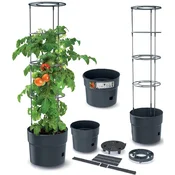 Prosperplast cvetlični lonček za paradižnik Tomato Grower antraciten 18 l