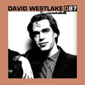 David Westlake - D87 (Clear Coloured) (LP)