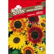 SEME ROYAL SEEDS 95 Sončnica visoka, mešanica