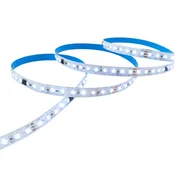 RUNNING LED / trceca LED traka 120 LED/m 6000K WS16703 IP20 24V