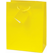 PIGO Vrečka darilna plast. mat a5 22,9x9,8x17,8 - rumena