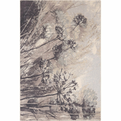 Siva/kremno bela volnena preproga 200x300 cm Lissey – Agnella