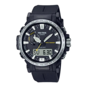 Casio Pro Trek