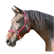 Ular za konje Mustang br.1