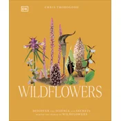 Wildflowers