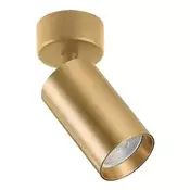 Plafonska lampa AFS121-1C SG
