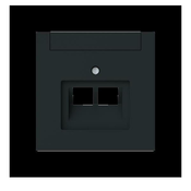 Busch-Jaeger Busch-Jaeger Centralni disk 2-gang, ZAE 1803-02-45M, (20890554)