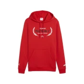 Mens Puma F1 Essentials Logo Graphic Hoodie, Red, Size 4XL, Motorsport