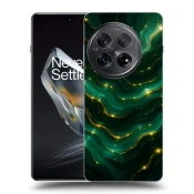 Silikonski črni ovitek za OnePlus 12 5G - Emerald