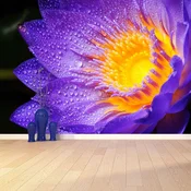 tulup.si Stenska fototapeta Purple lotus Tapeta 208x146 cm