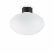 Ideal Lux - Zunanja stropna svetilka CLIO 1xE27/42W/230V IP44 črna