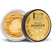 Allegro Natura "A kind of magic" Highlight Powder - 02 Starry Gold