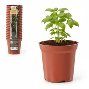 Garden Line SET 20 CVETNIH POKROVOV PP 7,2 x 6,8 CM *3340